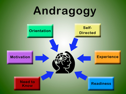 Picture of Andragogy & the Six Assumptions